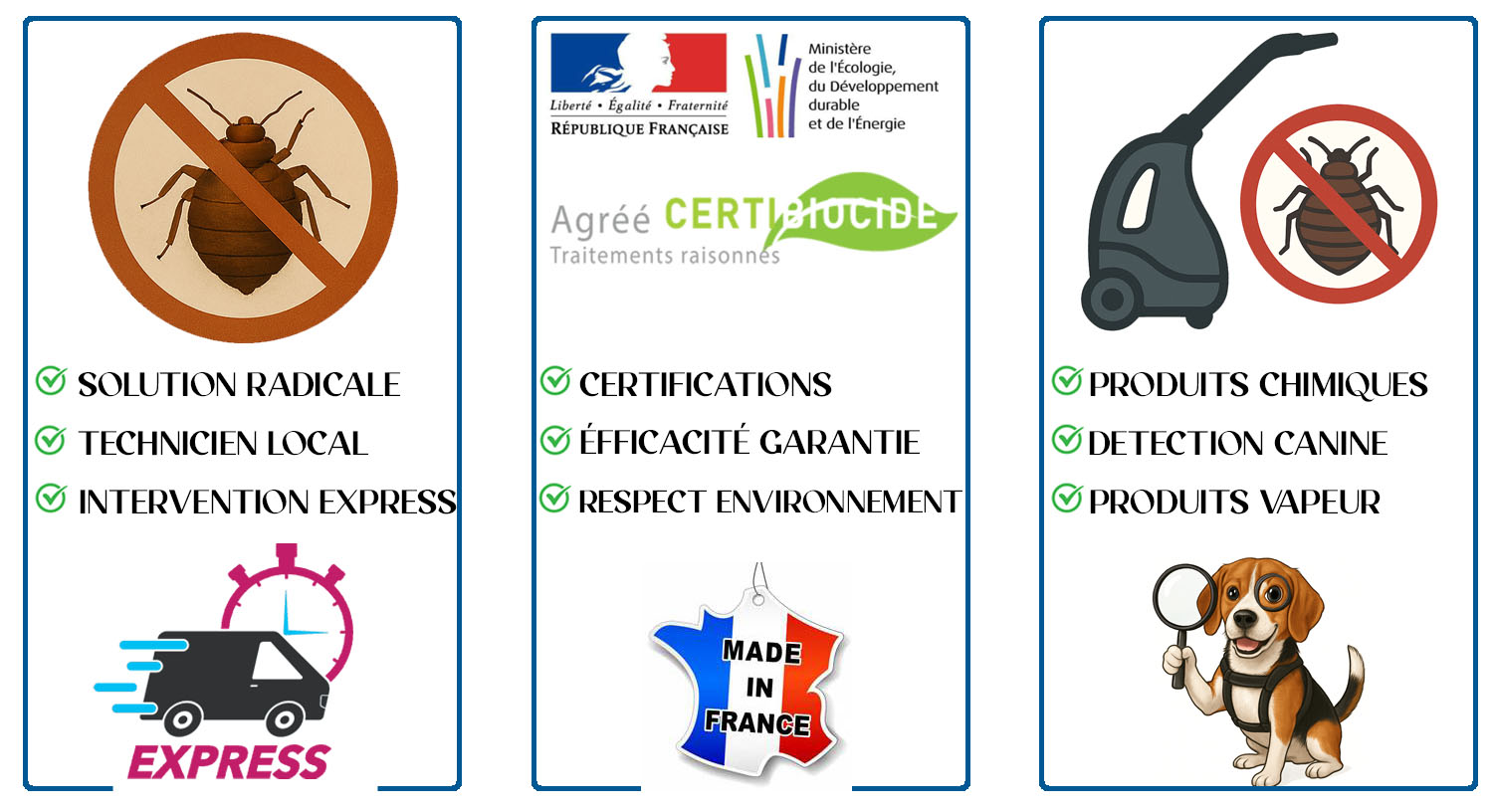 Punaises de Lit Clamart